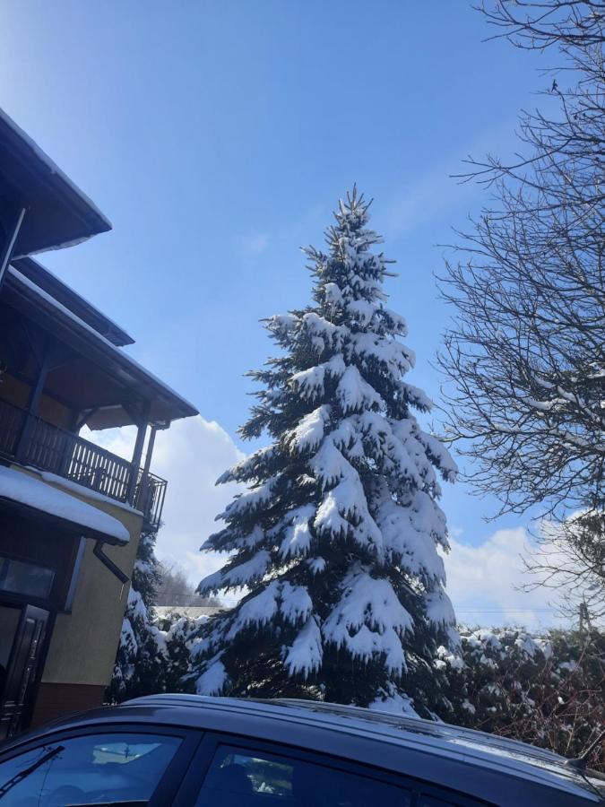 Apartament Naleczow Dom Pod Orzechami Exteriör bild